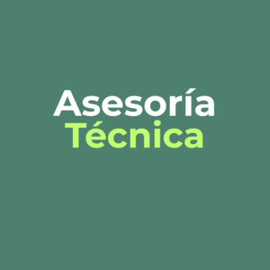 Asesoria Tecnica