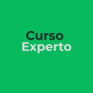 Curso Experto en Steel Framing