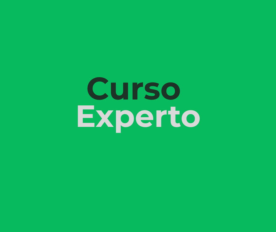 Curso Experto en Steel Framing