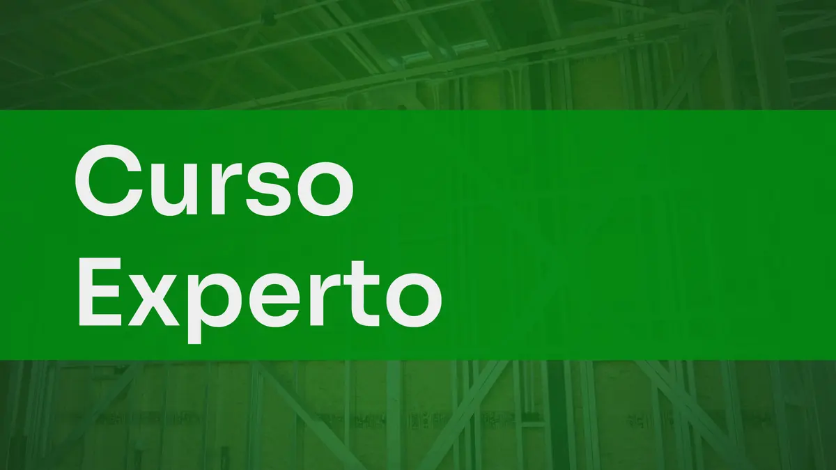Curso Experto en Steel Framing